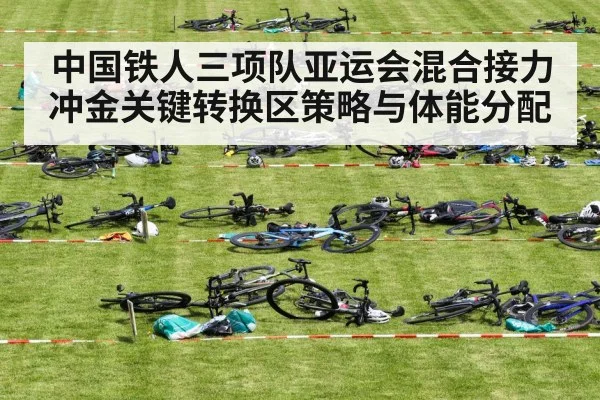 中国铁人三项队亚运会混合接力冲金关键转换区策略与体能分配